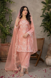 Farshi Shalwar - Beautiful Embroidery Work (CODE-01)